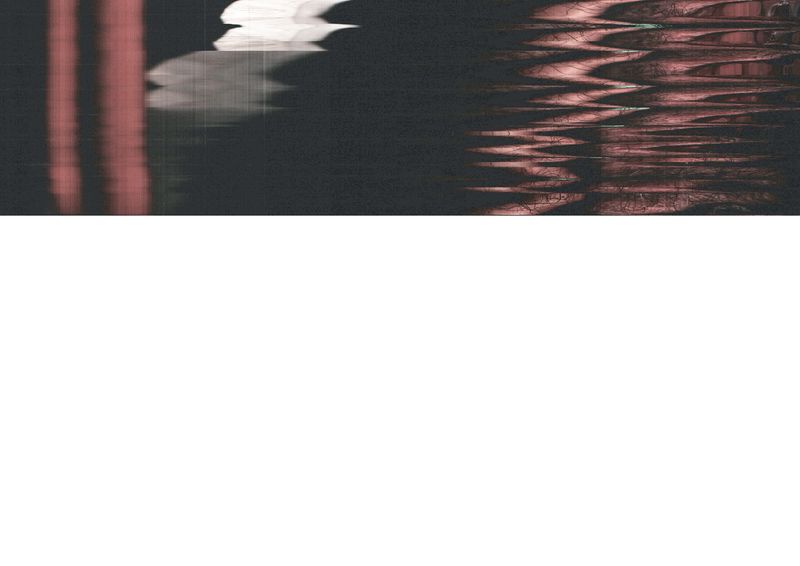 © V - Image from the A Lineage of Disqualified Knowledge (IV) photography project