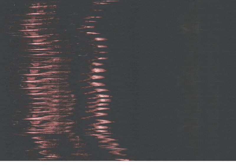 © V - Image from the A Lineage of Disqualified Knowledge (IV) photography project