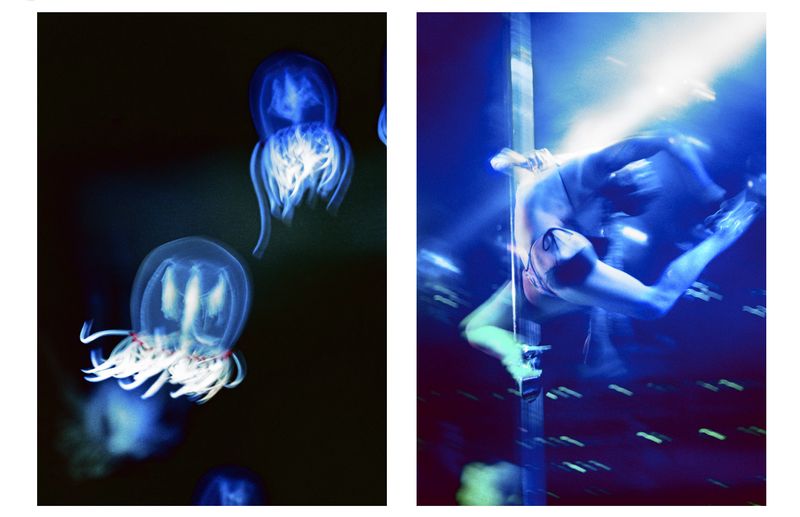 © Elizabeth Waterman - Image from the Propulsion photography project