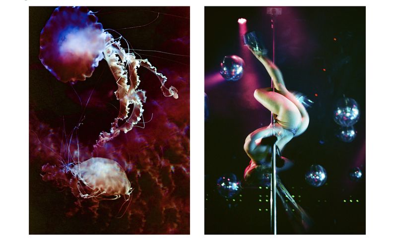© Elizabeth Waterman - Image from the Propulsion photography project