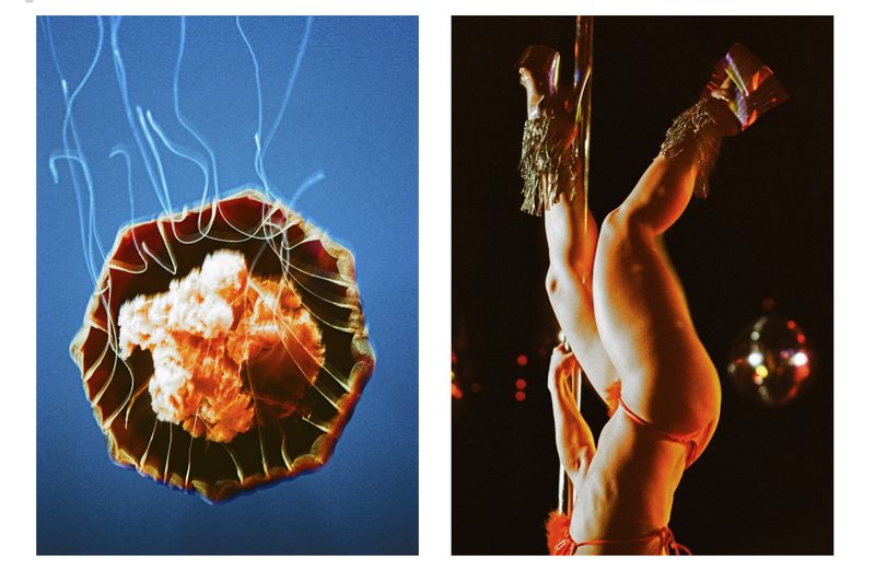 © Elizabeth Waterman - Image from the Propulsion photography project