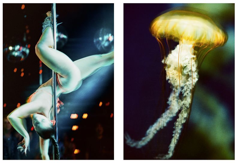 © Elizabeth Waterman - Image from the Propulsion photography project
