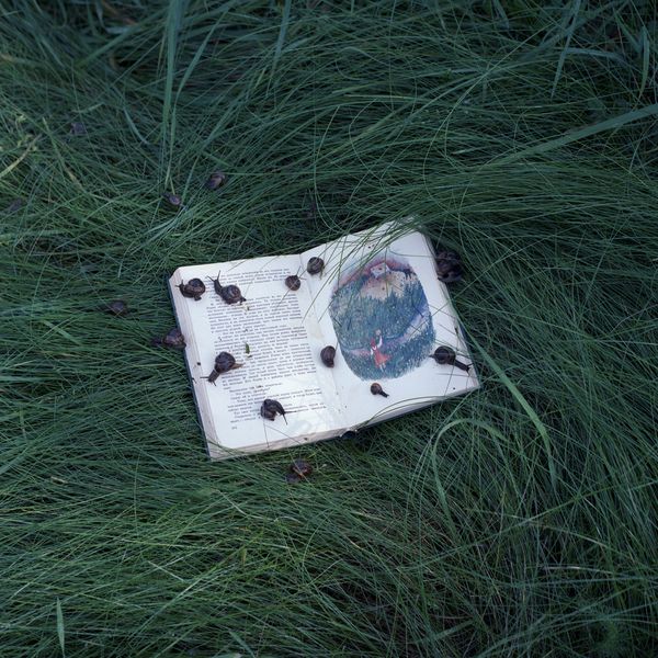 © Alena Kakhanovich - "Sleeping garden", 2018