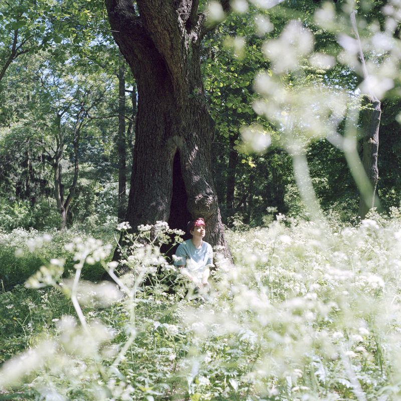 © Alena Kakhanovich - "Morning in the garden", 2019