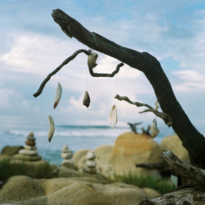 © Cristina Baussan - Image from the PHmuseum Collective Show Submission photography project