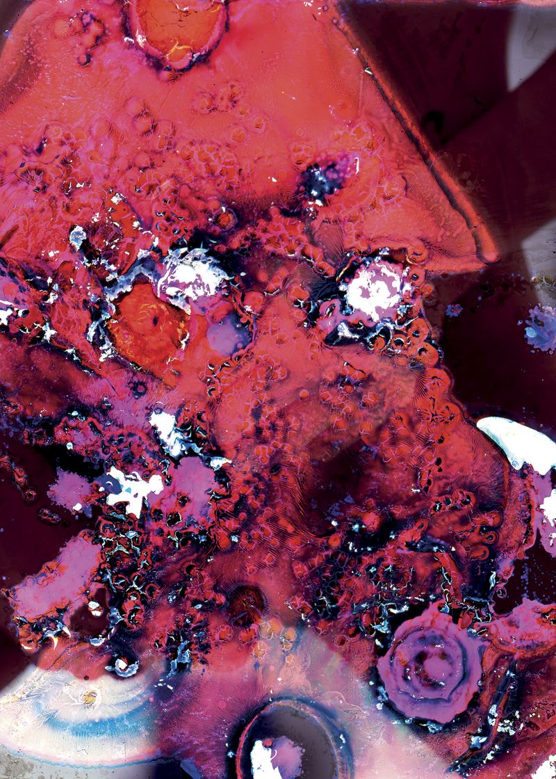 © Niccolò Quaresima - Image from the Planet Agar Agar photography project