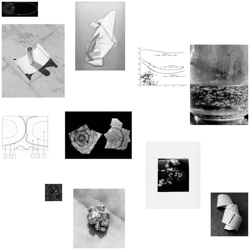 © Niccolò Quaresima - Image from the Planet Agar Agar photography project