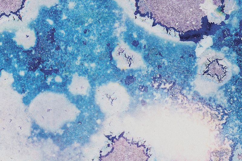 © Niccolò Quaresima - Image from the Planet Agar Agar photography project