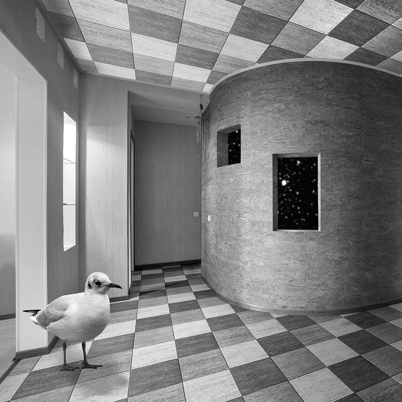 © Nina Kiseleva - Image from the Searching for a way out photography project