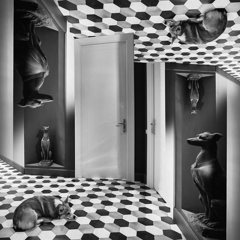 © Nina Kiseleva - Image from the Searching for a way out photography project