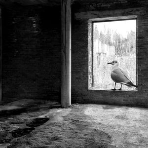 Searching for a way out