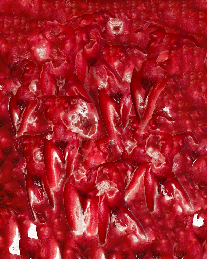 © Agnieszka Sejud - Image from the Mimesis photography project