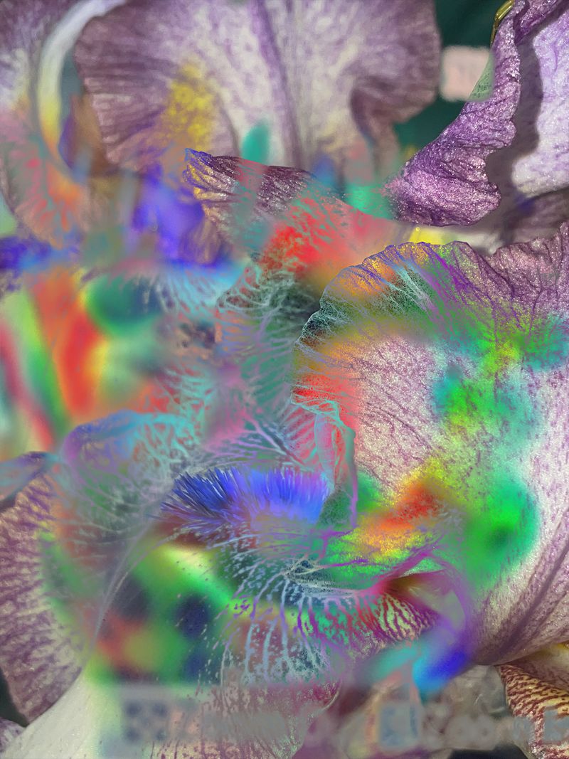 © Agnieszka Sejud - Image from the Mimesis photography project