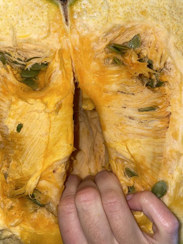 © Agnieszka Sejud - Image from the Mimesis photography project