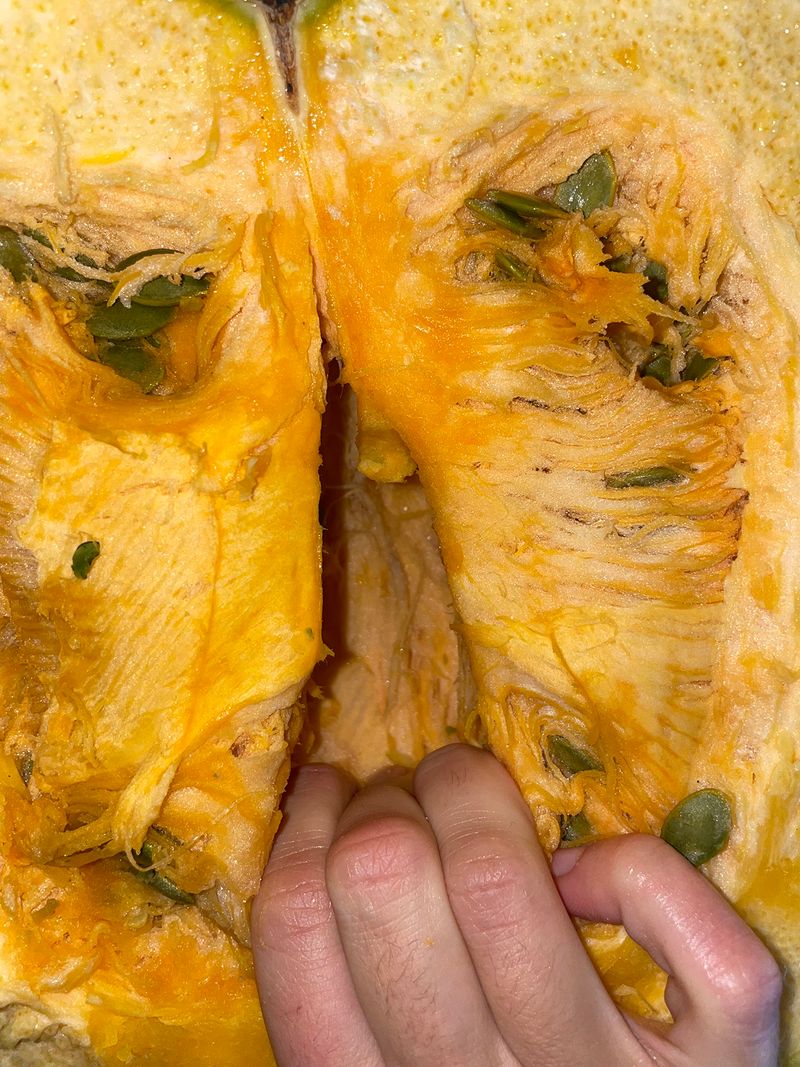 © Agnieszka Sejud - Image from the Mimesis photography project