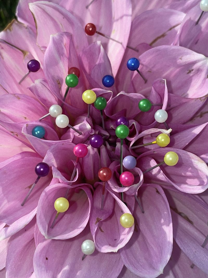 © Agnieszka Sejud - Image from the Mimesis photography project