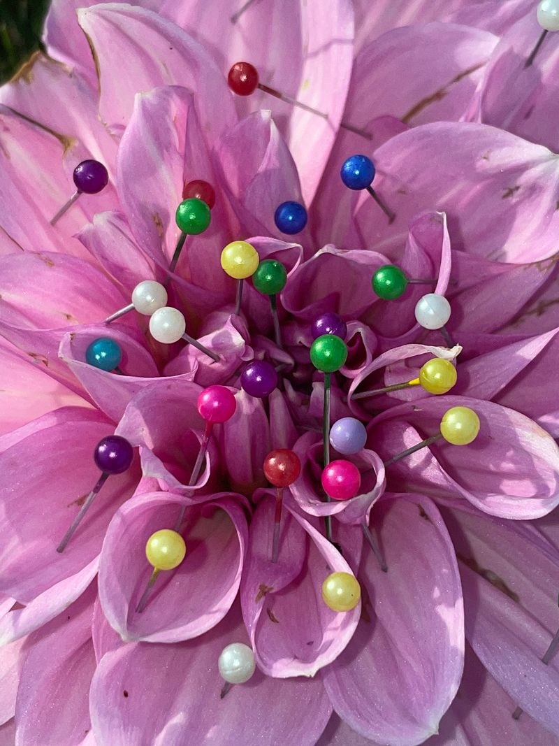 © Agnieszka Sejud - Image from the Mimesis photography project