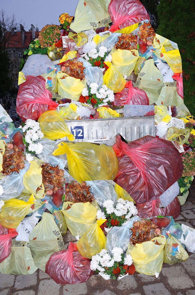 © Agnieszka Sejud - Image from the HOAX photography project