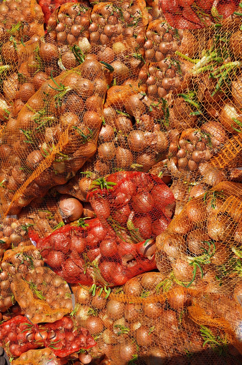 © Agnieszka Sejud - Image from the HOAX photography project