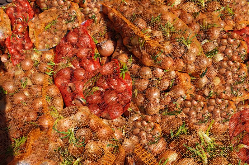 © Agnieszka Sejud - Image from the HOAX photography project