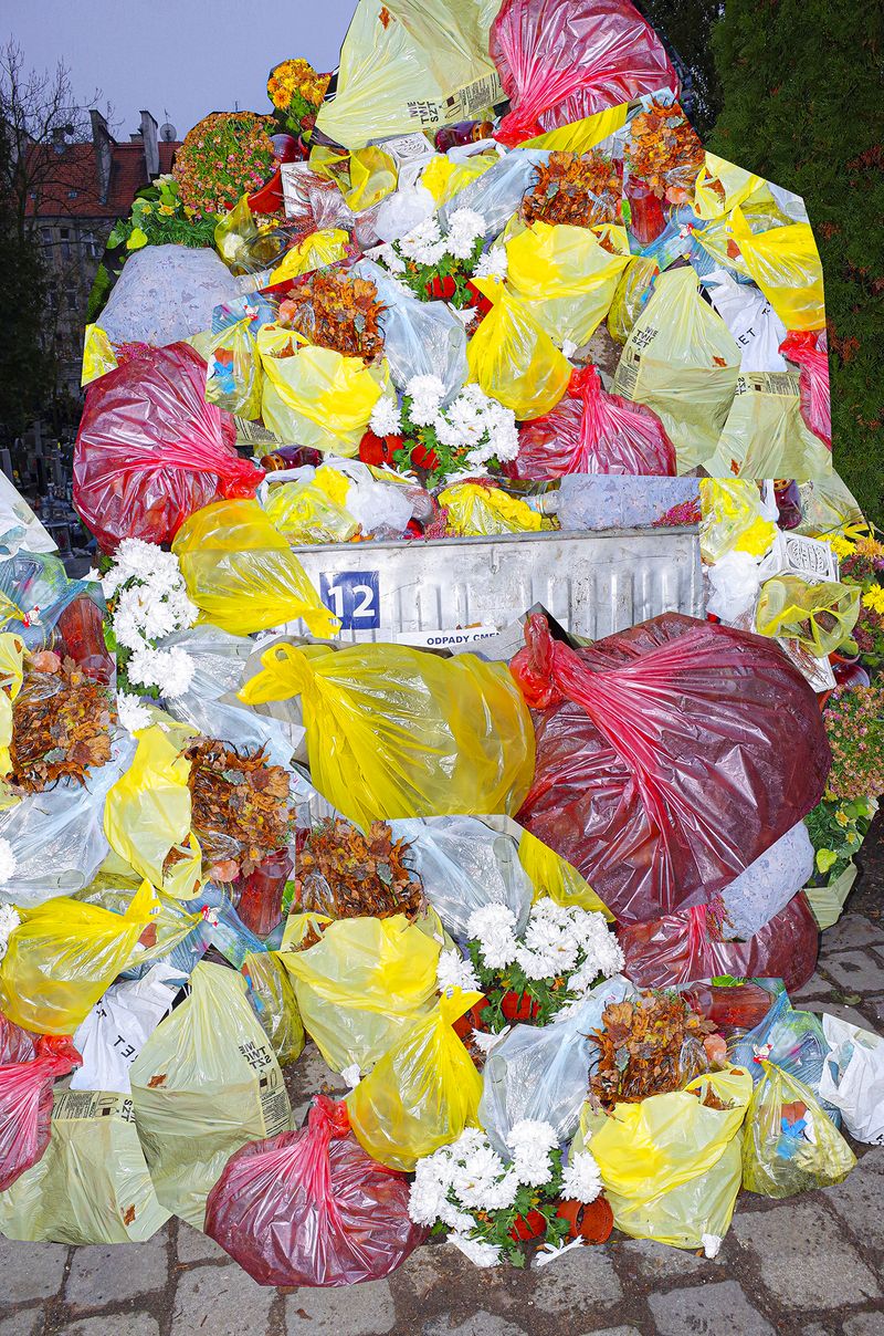 © Agnieszka Sejud - Image from the HOAX photography project