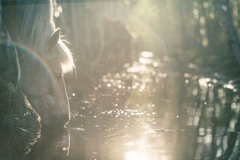© Emmi Kähkönen - Image from the Here today photography project