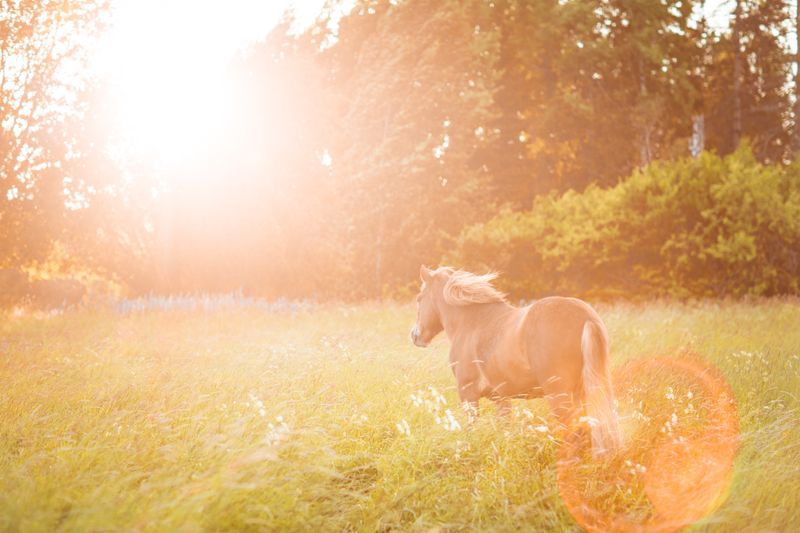 © Emmi Kähkönen - Image from the Here today photography project