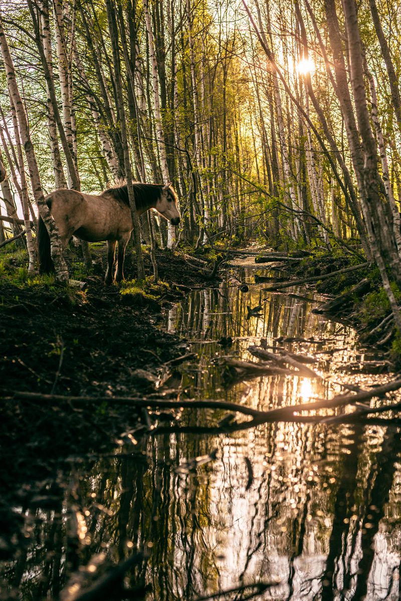 © Emmi Kähkönen - Image from the Here today photography project