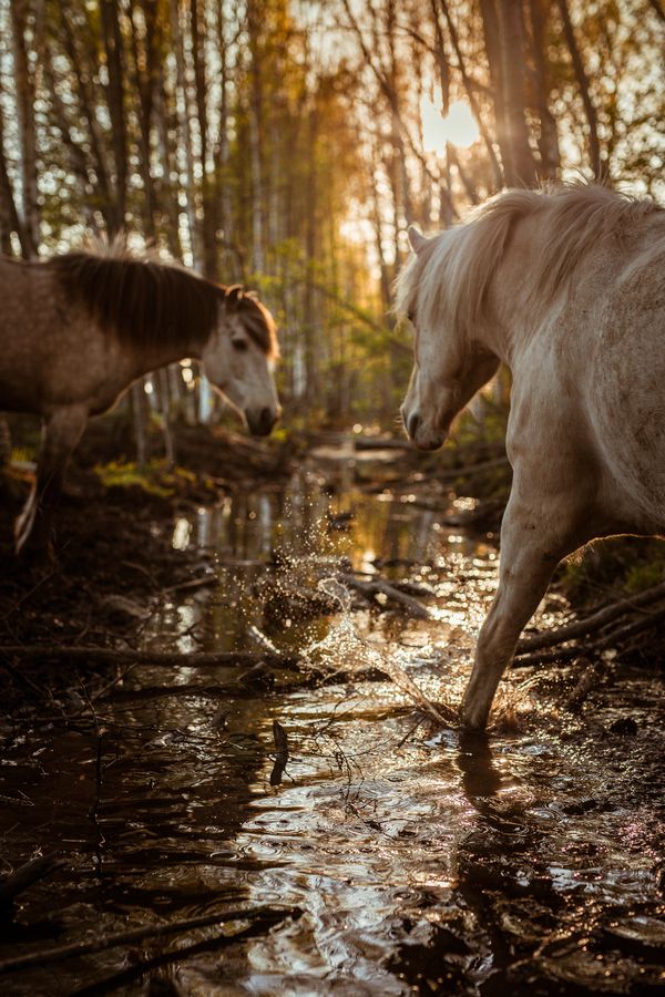 © Emmi Kähkönen - Image from the Here today photography project