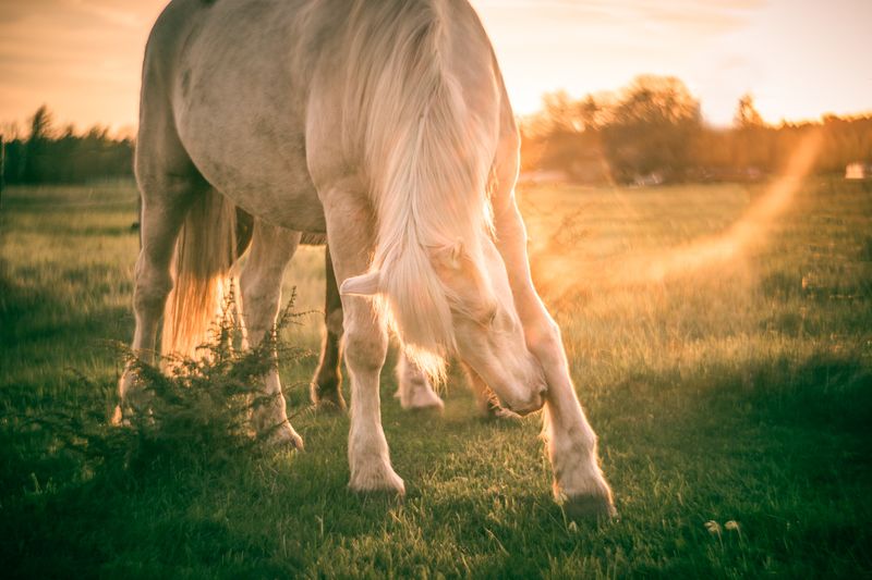 © Emmi Kähkönen - Image from the Here today photography project