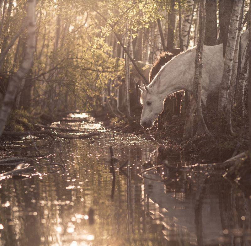 © Emmi Kähkönen - Image from the Here today photography project