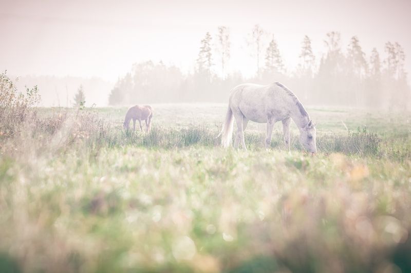 © Emmi Kähkönen - Image from the Here today photography project