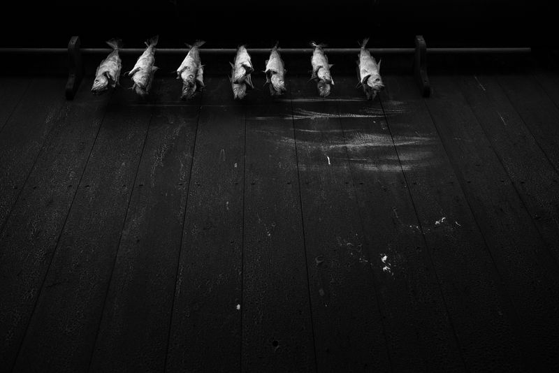 © Guillem Trius - Image from the Føroyar photography project