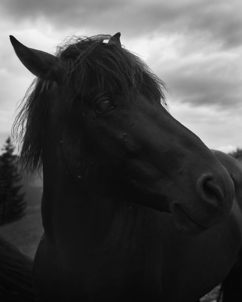 © rick van der klooster - Image from the A Conversation between the Mountain and the River photography project