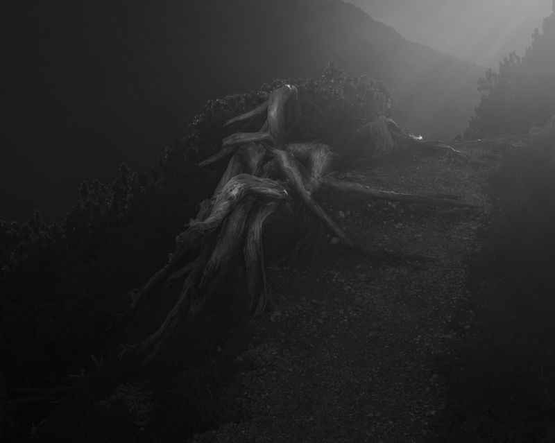 © rick van der klooster - Image from the A Conversation between the Mountain and the River photography project