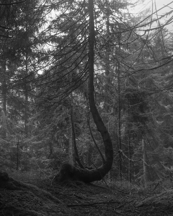 © rick van der klooster - Image from the A Conversation between the Mountain and the River photography project