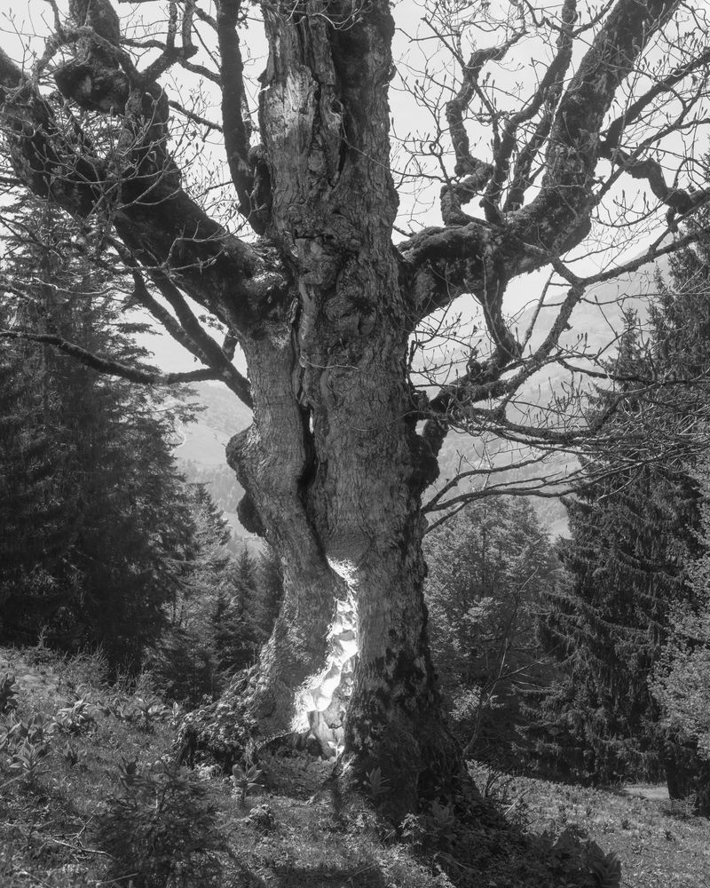 © rick van der klooster - Image from the A Conversation between the Mountain and the River photography project