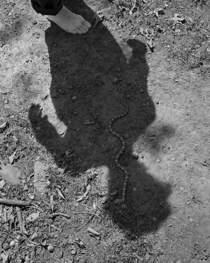 © Henry O. Head - Image from the Twelve Acres photography project