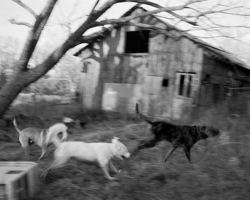 © Henry O. Head - Image from the Twelve Acres photography project