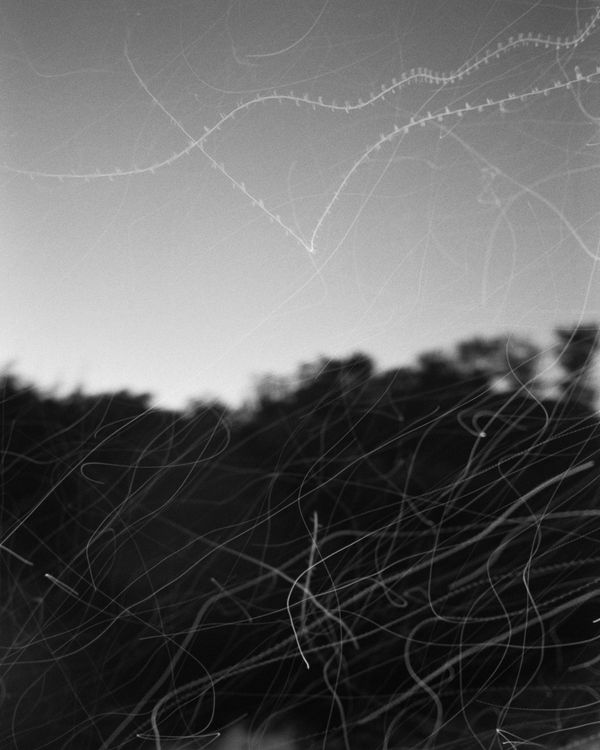 © Henry O. Head - Image from the Twelve Acres photography project