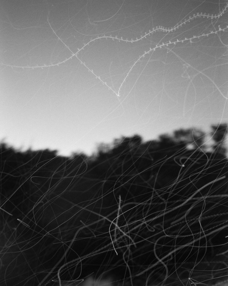 © Henry O. Head - Image from the Twelve Acres photography project