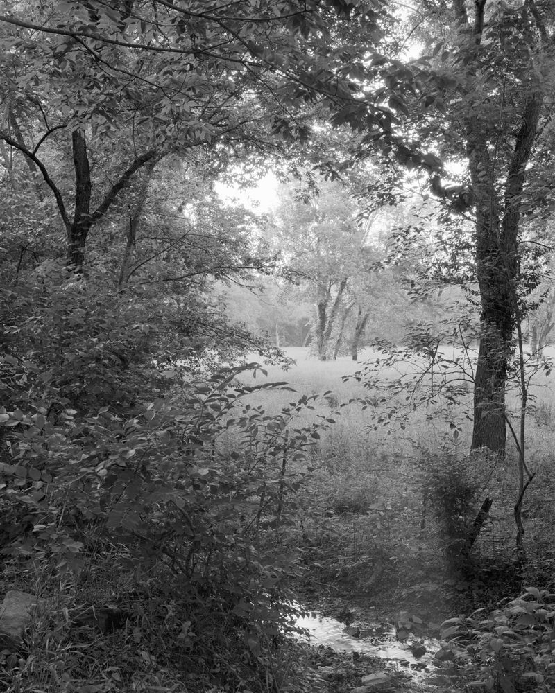 © Henry O. Head - Image from the Twelve Acres photography project