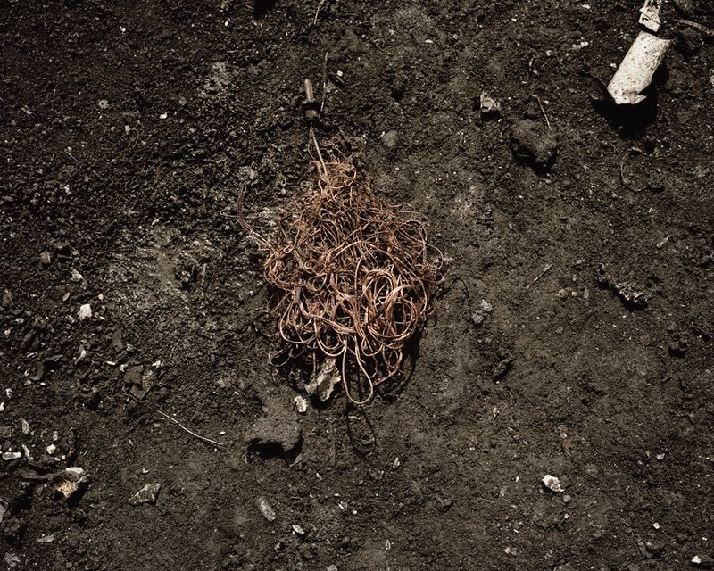 © Valentino Bellini - Image from the BIT ROT Project photography project