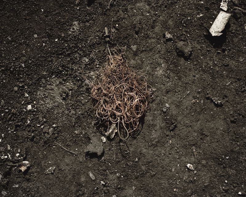 © Valentino Bellini - Image from the BIT ROT Project photography project