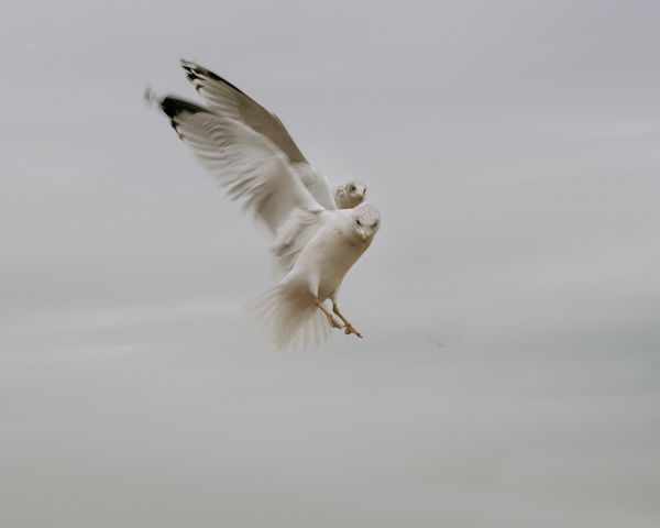 © Amit Elkayam - Image from the Narrioch photography project