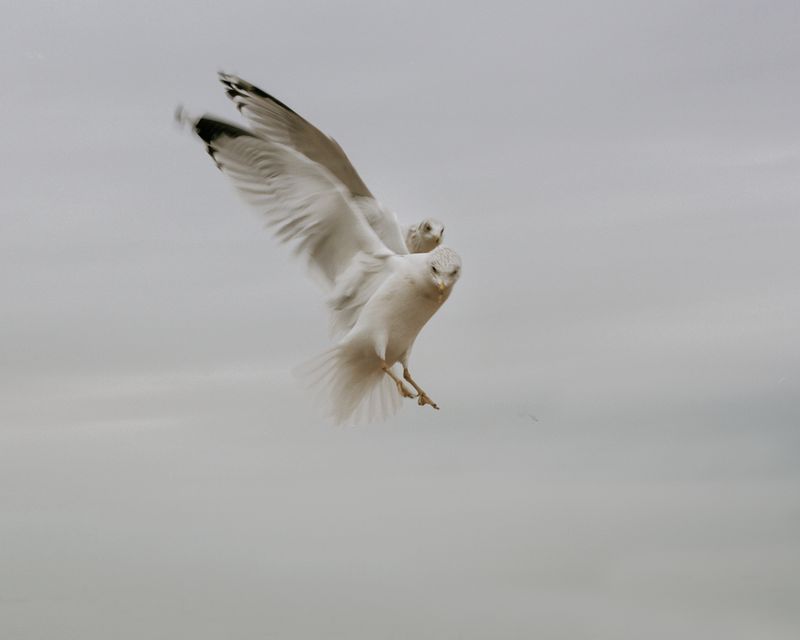 © Amit Elkayam - Image from the Narrioch photography project