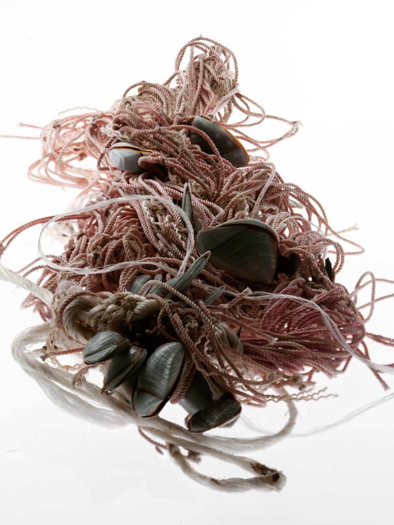 © Tina Smeraldi - Image from the Plastic relics photography project