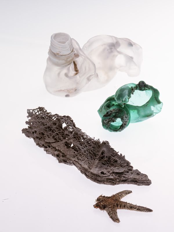 © Tina Smeraldi - Image from the Plastic relics photography project