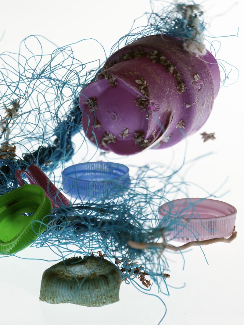 © Tina Smeraldi - Image from the Plastic relics photography project