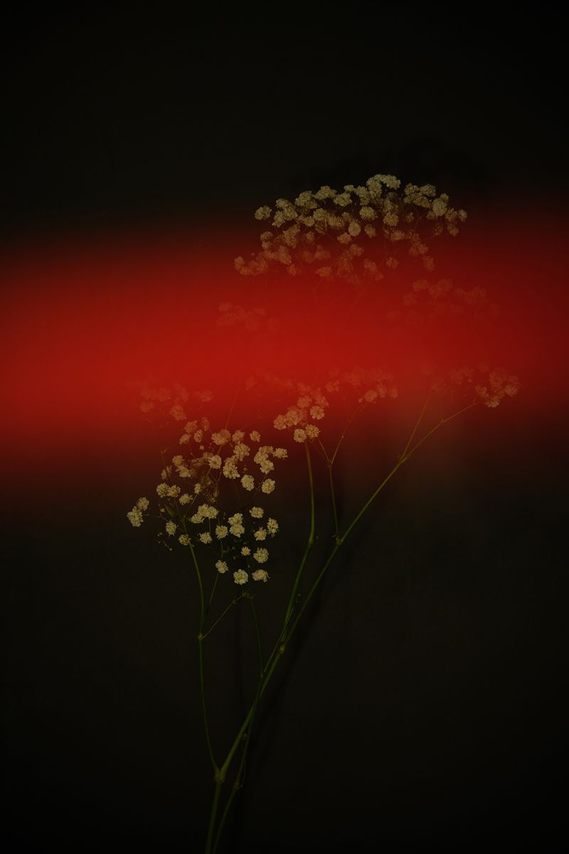 © Bahar Tusi - Image from the Silent Elegy photography project